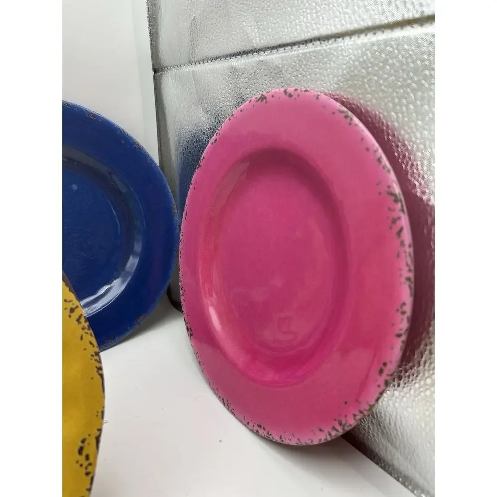 Pier 1 Carmelo Beautiful Colors Melamine Rustic 8.5” Plates Set of 10.